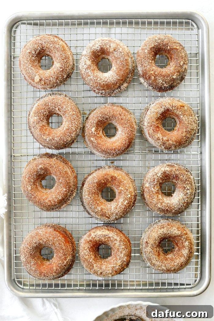 Harvest Apple Doughnut Delight 23 repeat with remaining doughnuts