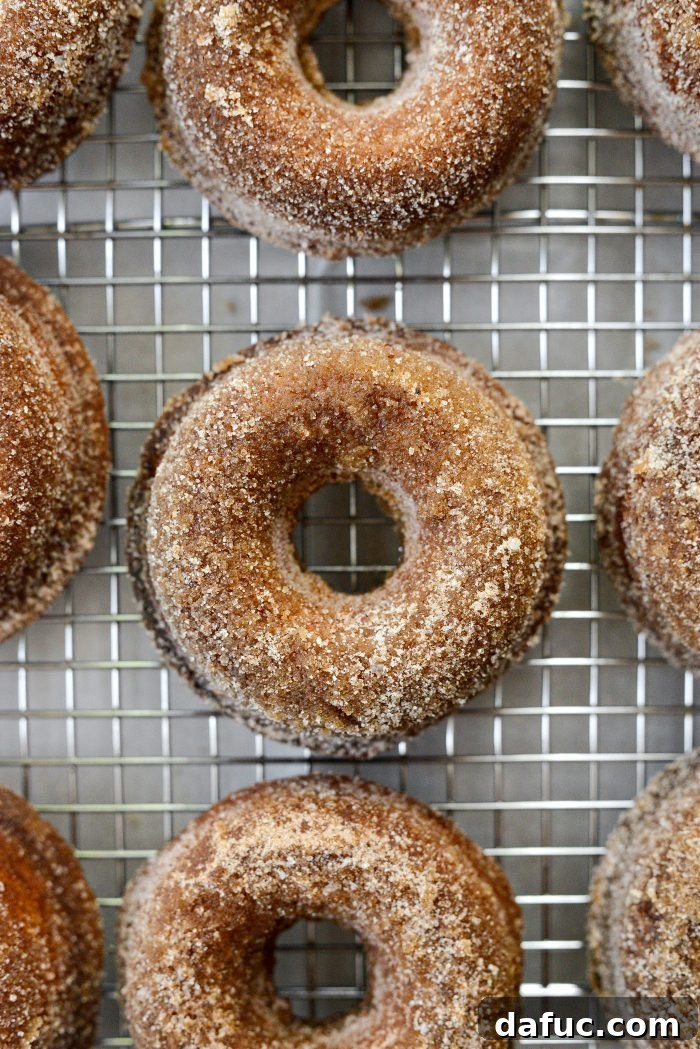 Harvest Apple Doughnut Delight 24 Apple Cider Doughnuts close up