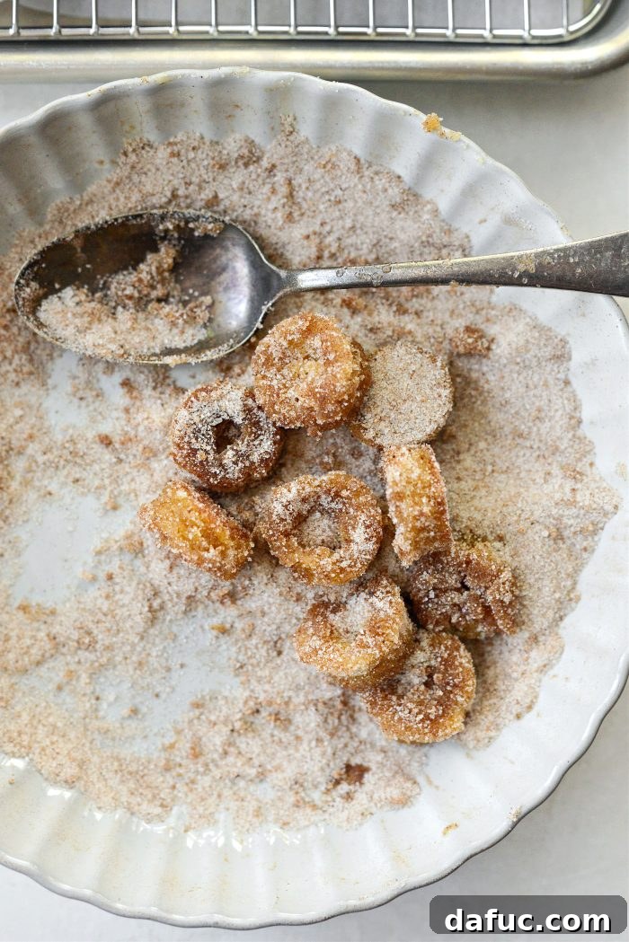 Harvest Apple Doughnut Delight 25 doughnut belly buttons