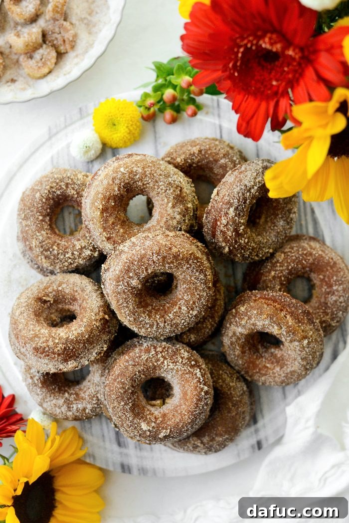 Harvest Apple Doughnut Delight 26 Apple Cider Doughnuts