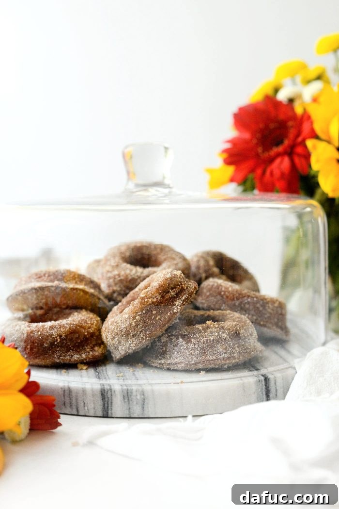 Harvest Apple Doughnut Delight 27 Apple Cider Doughnuts