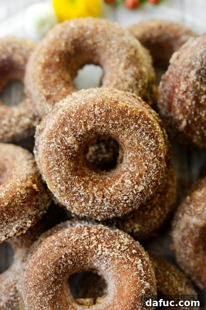 Harvest Apple Doughnut Delight 28 Apple Cider Doughnuts