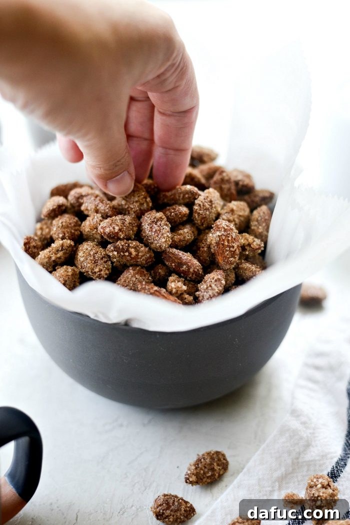 Irresistible Cinnamon Sugar Almonds 15 A vibrant display of cinnamon sugar almonds with a sprig of fresh cinnamon and star anise, emphasizing their festive appeal.