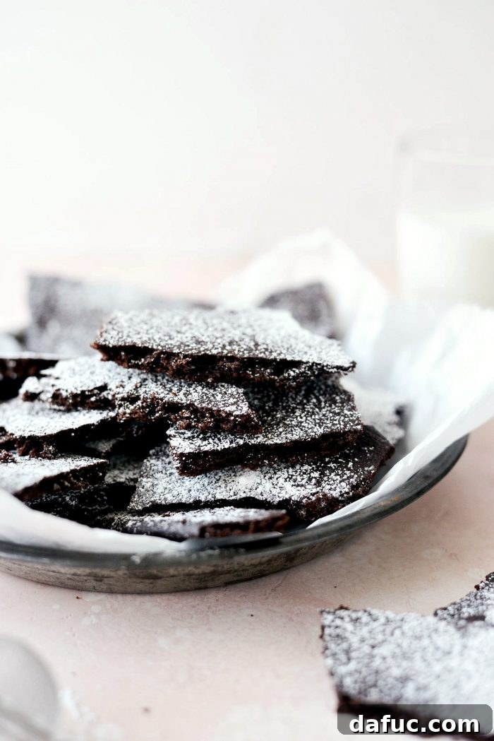 Gourmet Brownie Crisps 2 Irresistible homemade brownie brittle wafers dusted with powdered sugar