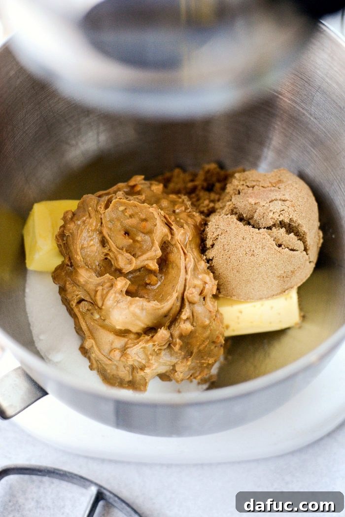 Butter, crunchy peanut butter, dark brown sugar, and granulated sugar in a stand mixer bowl