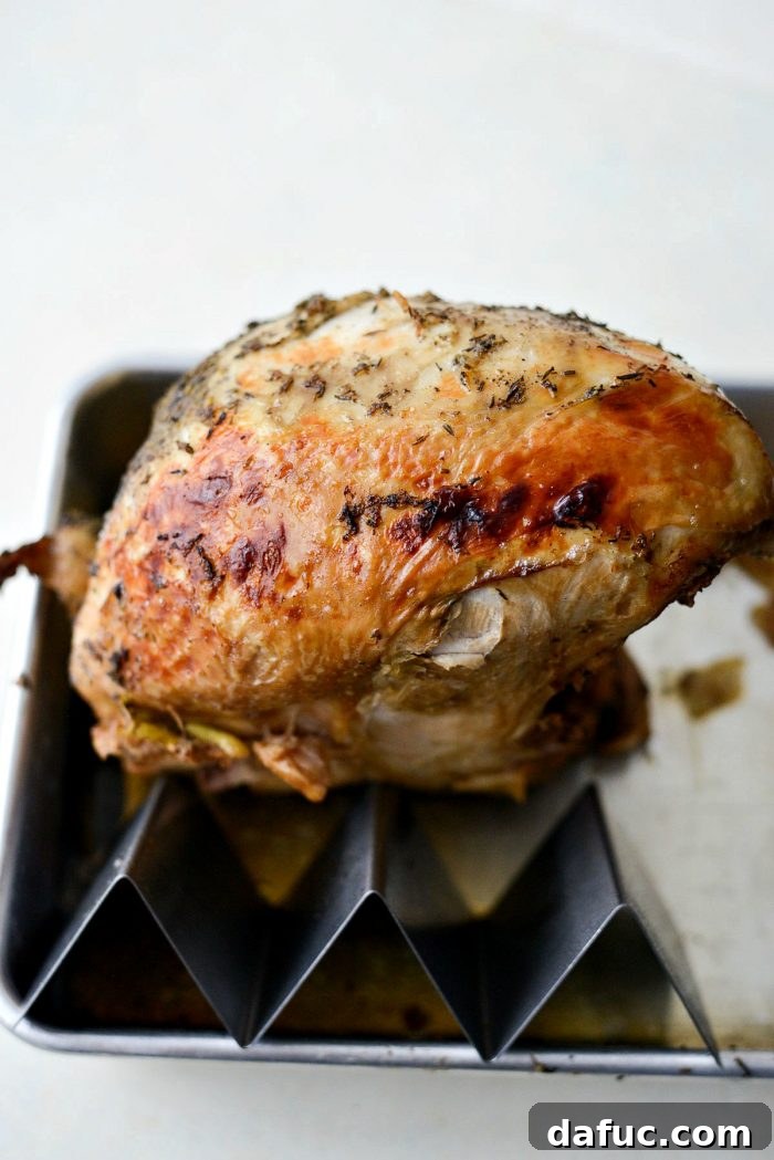 Tender Crock Pot Turkey Breast 13 img 68022 12
