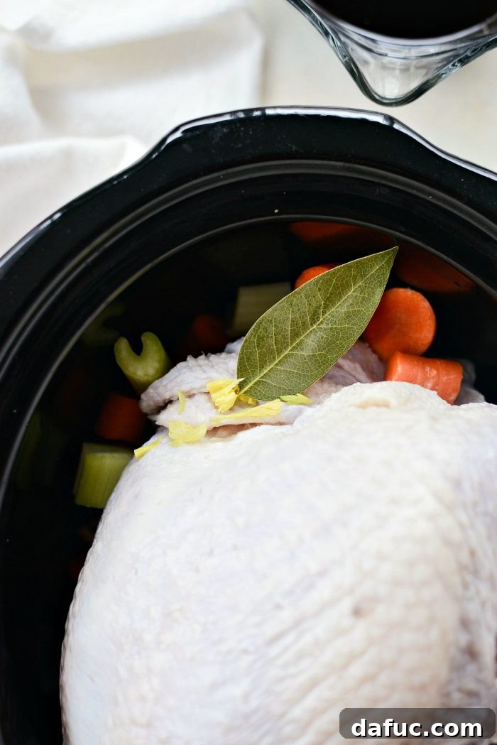 Tender Crock Pot Turkey Breast 6 img 68022 5