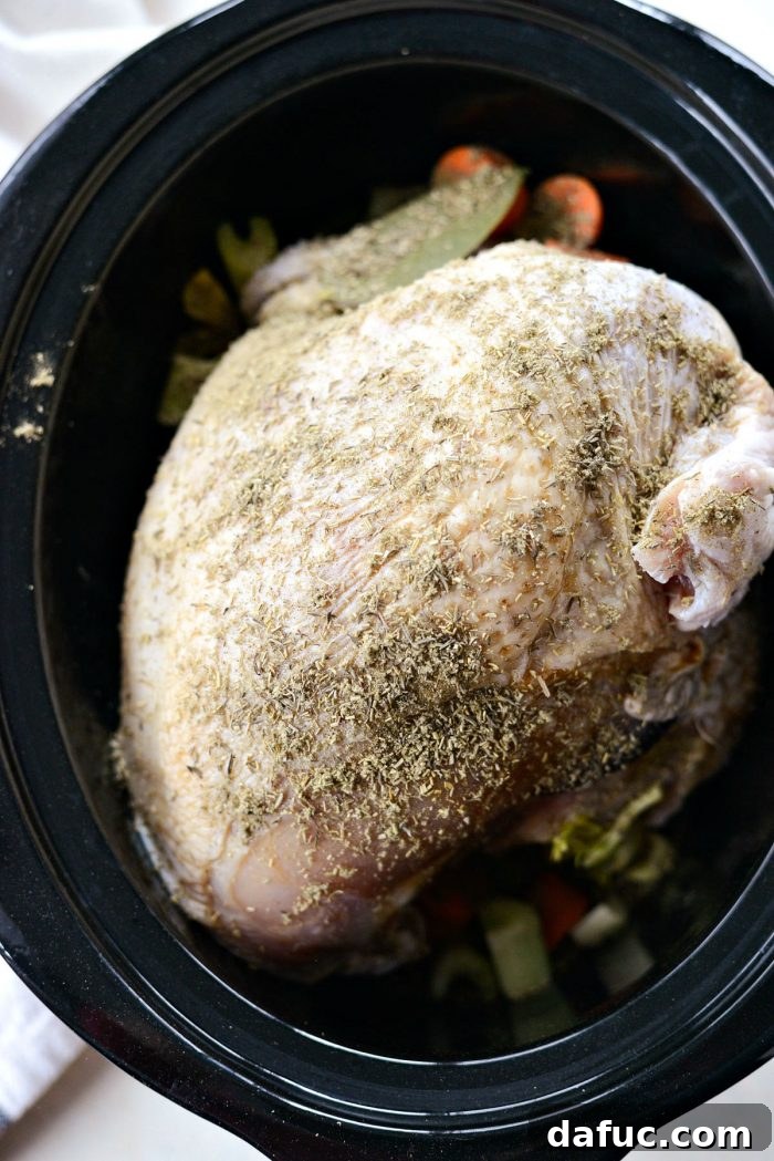Tender Crock Pot Turkey Breast 10 img 68022 9