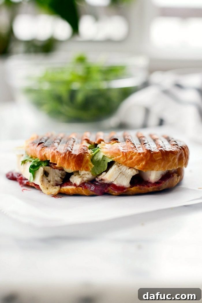 Golden Pressed Turkey Cranberry Croissant 8 A perfectly grilled Turkey Cranberry Croissant Panini, golden brown and crispy, with melted brie oozing out.