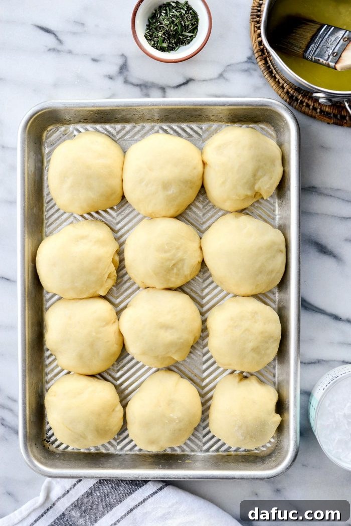 Dinner rolls beautifully risen after the second proofing, ready for their topping.