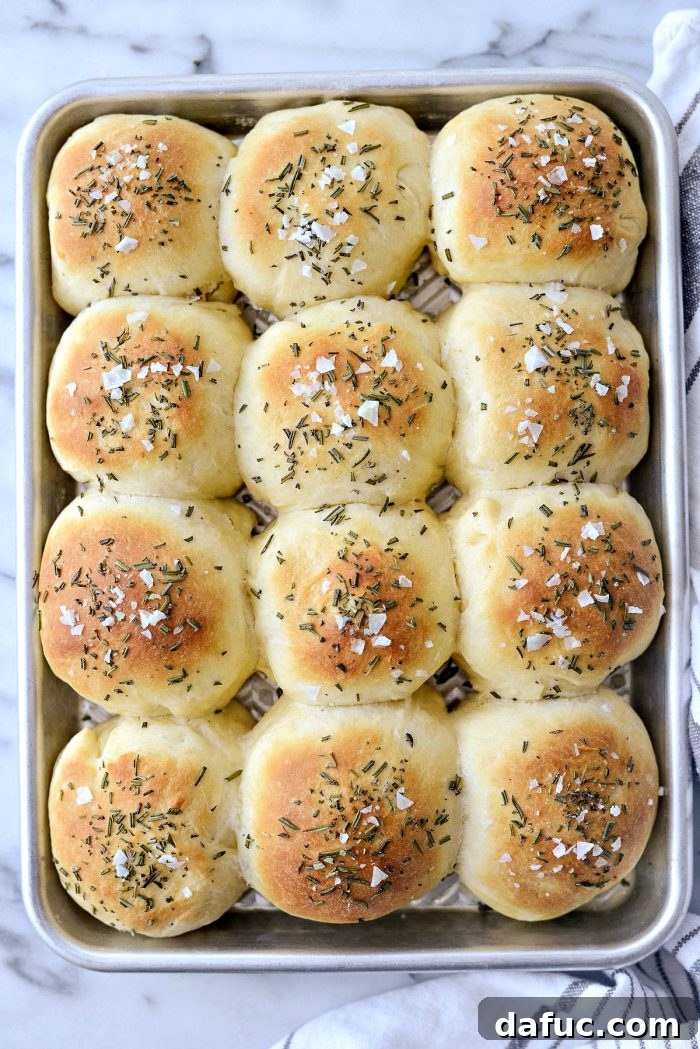 Freshly baked Sea Salt Rosemary Dinner Rolls, golden brown and perfectly risen.