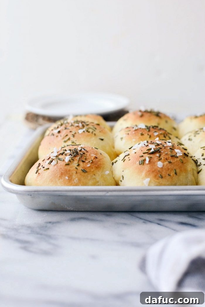 A close-up shot of several Sea Salt Rosemary Dinner Rolls, highlighting their golden crust and fluffy interior.