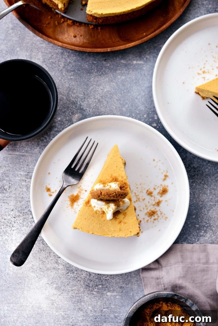 Dreamy No-Bake Pumpkin Cheesecake with a Gingersnap Crunch 17 Beautifully Chilled No-Bake Pumpkin Cheesecake with Gingersnap Crust Ready to Serve