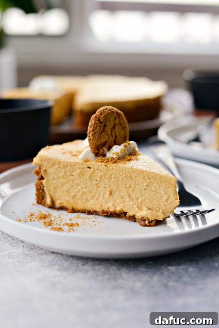 Dreamy No-Bake Pumpkin Cheesecake with a Gingersnap Crunch 19 Close-up of the Delectable Gingersnap Crust on No-Bake Pumpkin Cheesecake