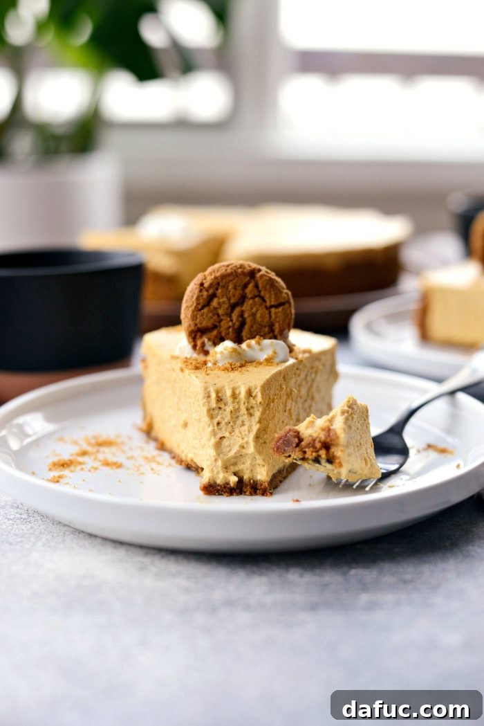 Dreamy No-Bake Pumpkin Cheesecake with a Gingersnap Crunch 20 Perfectly Sliced No-Bake Pumpkin Cheesecake Revealing Creamy Texture