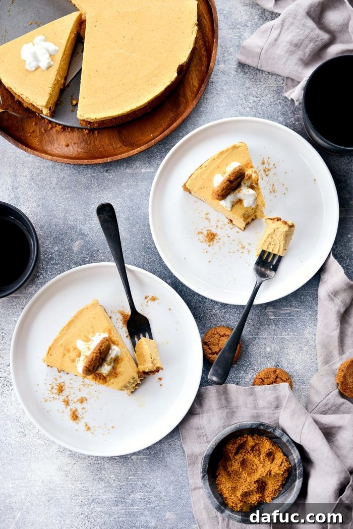Dreamy No-Bake Pumpkin Cheesecake with a Gingersnap Crunch 21 Indulgent Slice of No-Bake Pumpkin Cheesecake with Garnishes