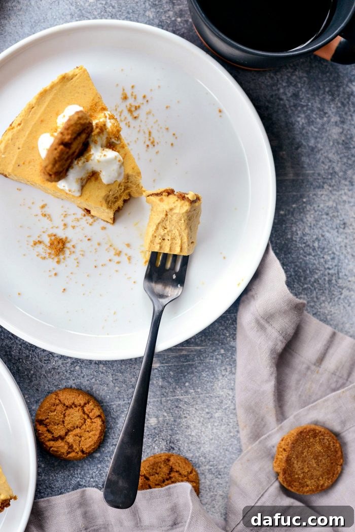 Dreamy No-Bake Pumpkin Cheesecake with a Gingersnap Crunch 24 Delicious Pumpkin Cheesecake with Gingersnap Crust on a Serving Plate
