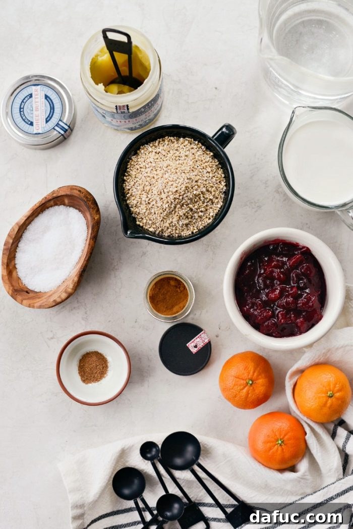 Zesty Cranberry Orange Steel Cut Oats 3 Close-up of steel cut oats cooking, creamy and inviting.