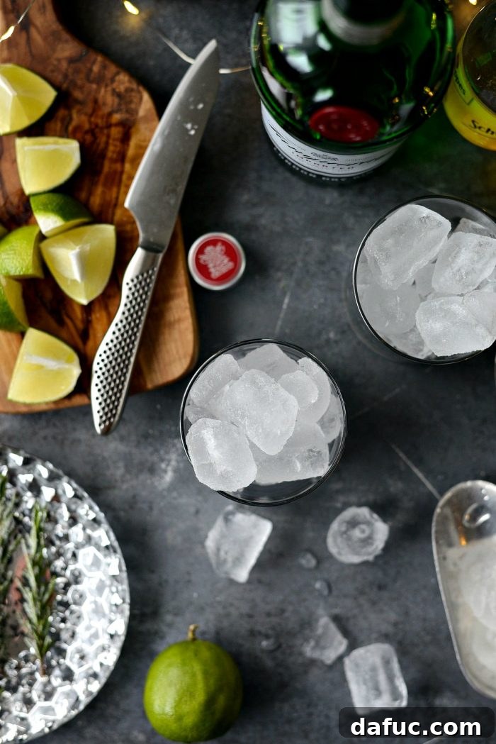 The Perfect Gin and Tonic 4 A bottle of Tanqueray gin, emphasizing its premium quality and classic aesthetic for gin and tonic preparation.