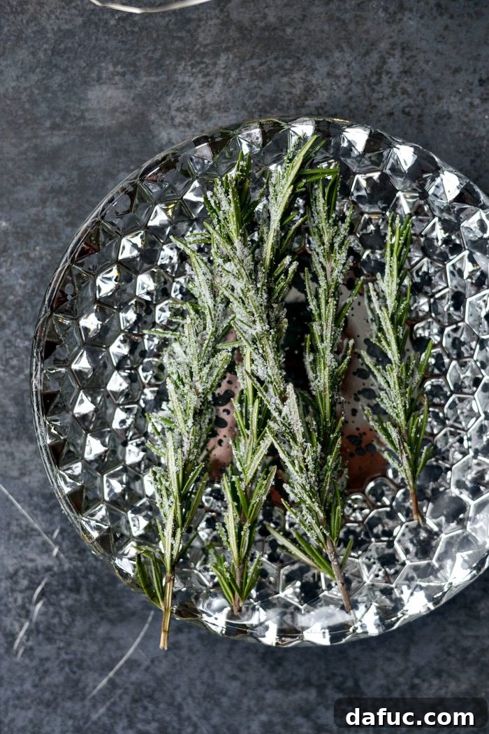 The Perfect Gin and Tonic 10 Rolling damp rosemary sprigs in fine sugar to create a frosted, festive garnish.