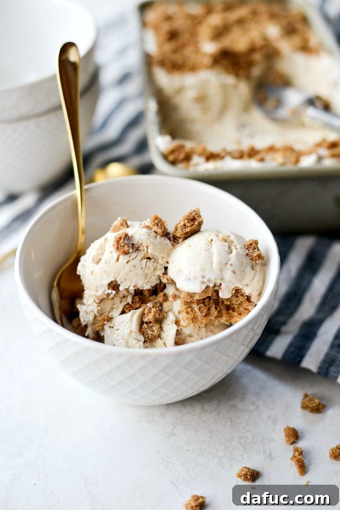 Creamy No-Churn Belgian Cookie Butter Delight 2 Rich No-Churn Belgium Cookie Butter Ice Cream, a creamy homemade dessert featuring speculoos and cookie butter