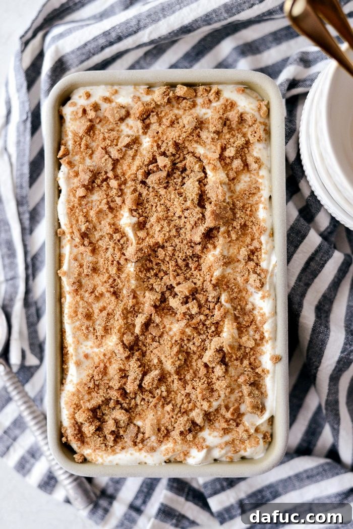 Creamy No-Churn Belgian Cookie Butter Delight 12 Top view of No-Churn Belgium Cookie Butter Ice Cream in a loaf pan, with extra cookie crumbs sprinkled on top