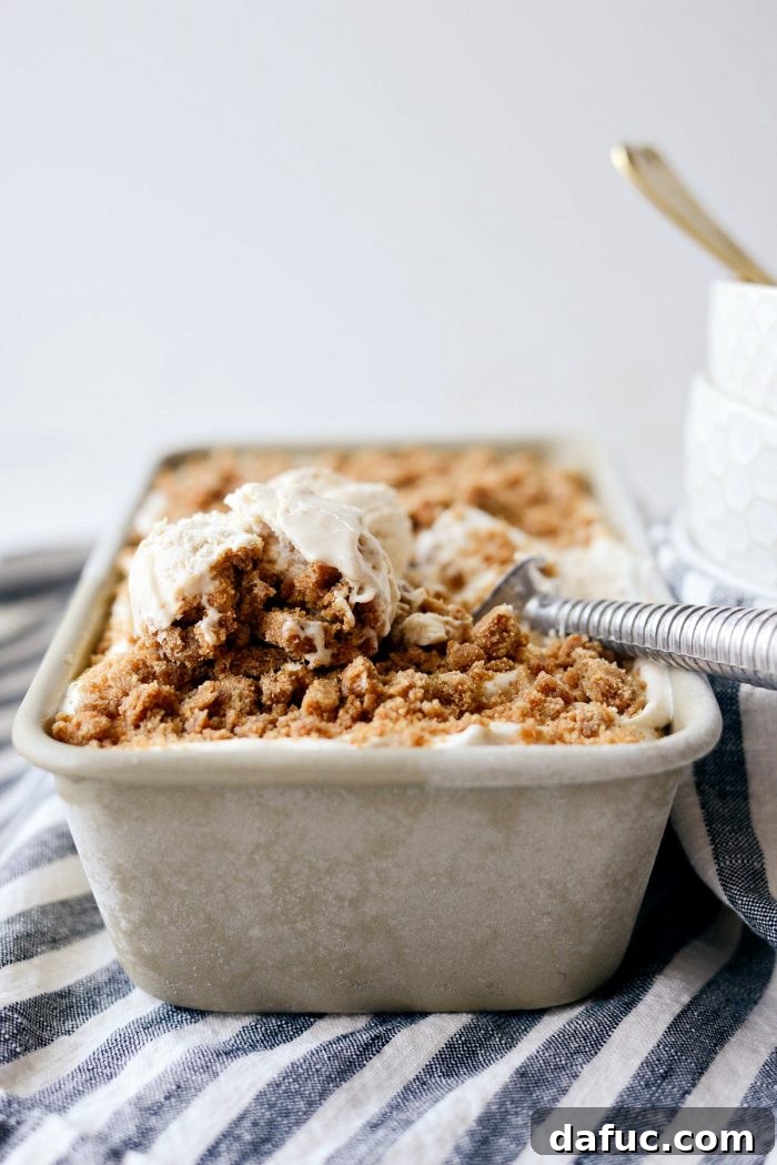 Creamy No-Churn Belgian Cookie Butter Delight 15 A scoop of No-Churn Belgium Cookie Butter Ice Cream on a spoon, showcasing its rich texture