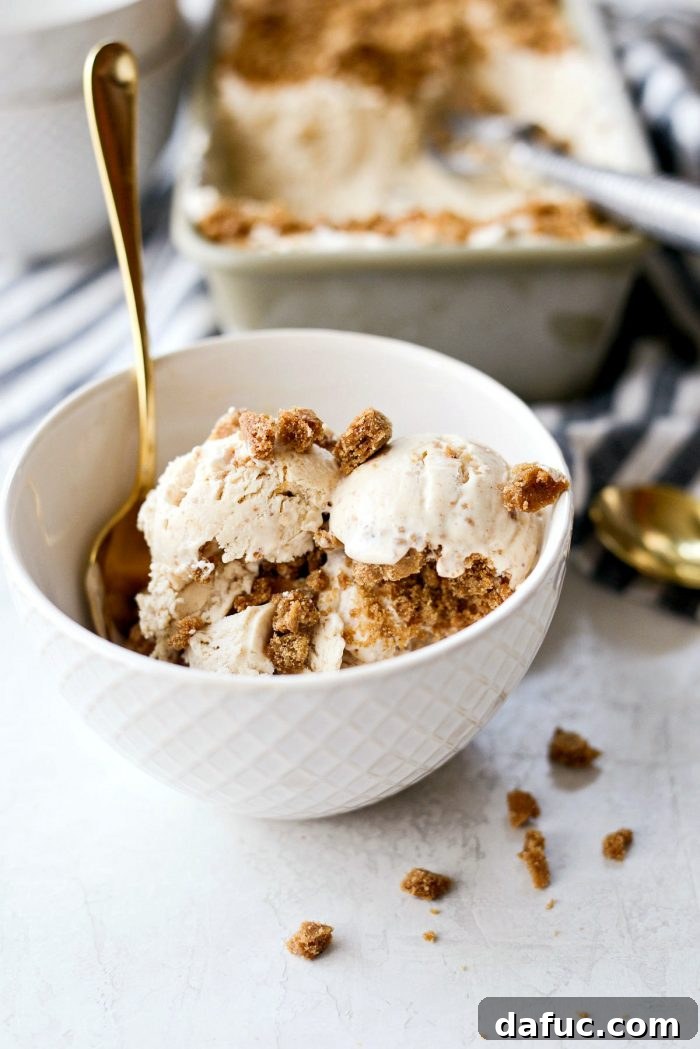 Creamy No-Churn Belgian Cookie Butter Delight 16 Family enjoying bowls of No-Churn Belgium Cookie Butter Ice Cream, highlighting the joy of homemade desserts