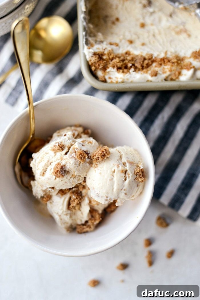 Creamy No-Churn Belgian Cookie Butter Delight 17 Final presentation of No-Churn Belgium Cookie Butter Ice Cream in a bowl, with a rich and inviting appearance