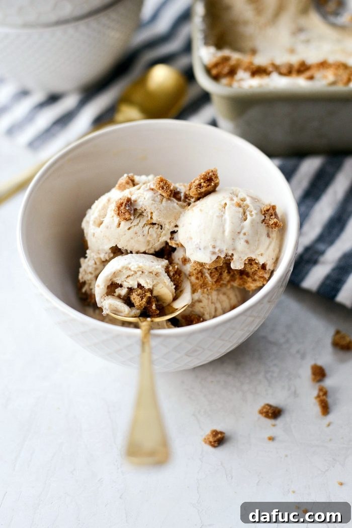 Creamy No-Churn Belgian Cookie Butter Delight 18 Last shot of the No-Churn Belgium Cookie Butter Ice Cream, showcasing its creamy texture and cookie pieces for a final appeal