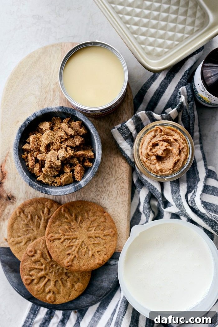 Creamy No-Churn Belgian Cookie Butter Delight 4 Ingredients for No-Churn Belgium Cookie Butter Ice Cream laid out on a counter, ready for preparation