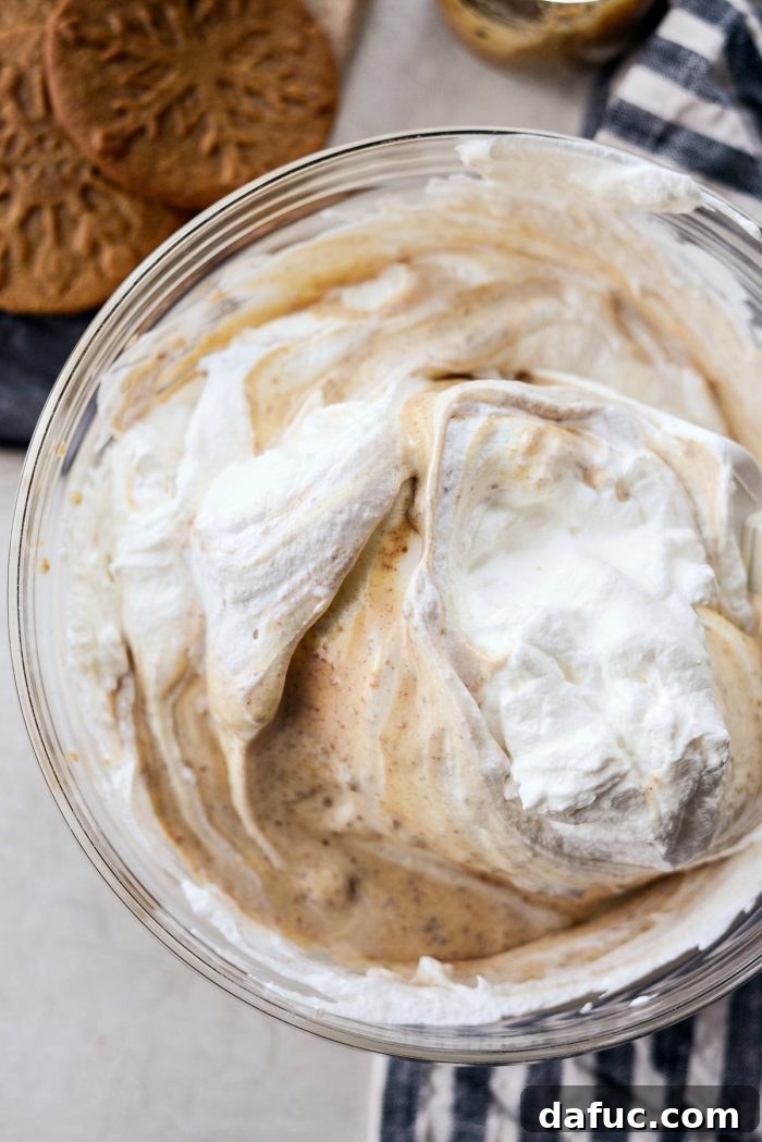 Creamy No-Churn Belgian Cookie Butter Delight 8 Close-up of the cookie butter base mixture, showing its smooth texture and cookie pieces