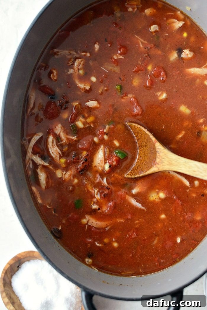 Effortless Chicken Tortilla Soup Delight 12 Close-up of the finished Chicken Tortilla Soup, rich with chicken, beans, and corn, ready to be served.