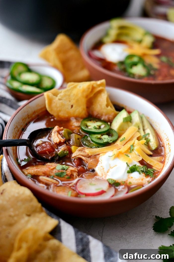 Effortless Chicken Tortilla Soup Delight 18 A final close-up of the delicious Chicken Tortilla Soup, ready to be enjoyed.