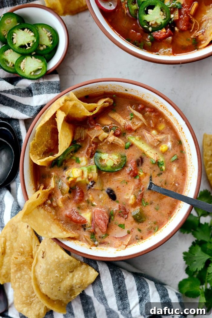 Effortless Chicken Tortilla Soup Delight 19 Overhead shot of a full Dutch oven of Chicken Tortilla Soup with a ladle, hinting at the generous servings.