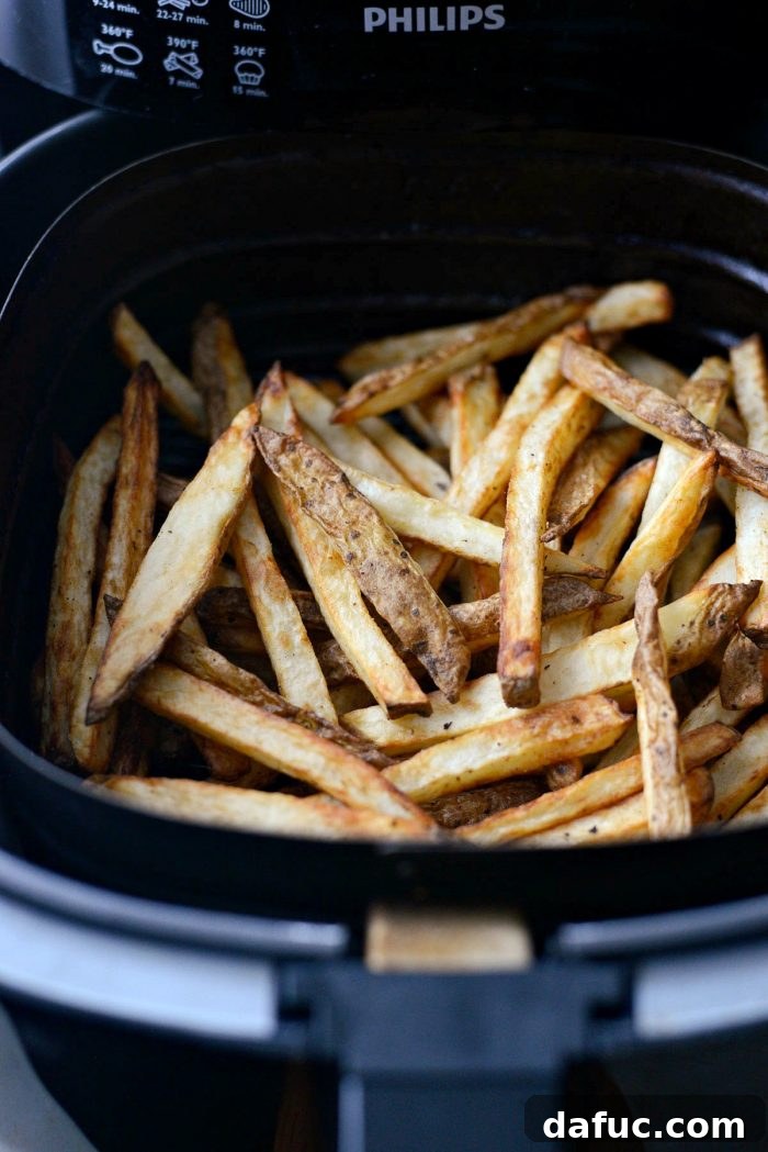Crispy Homemade Air Fryer Fries 12 A serving of homemade Air Fryer French Fries on a plate with dipping sauce