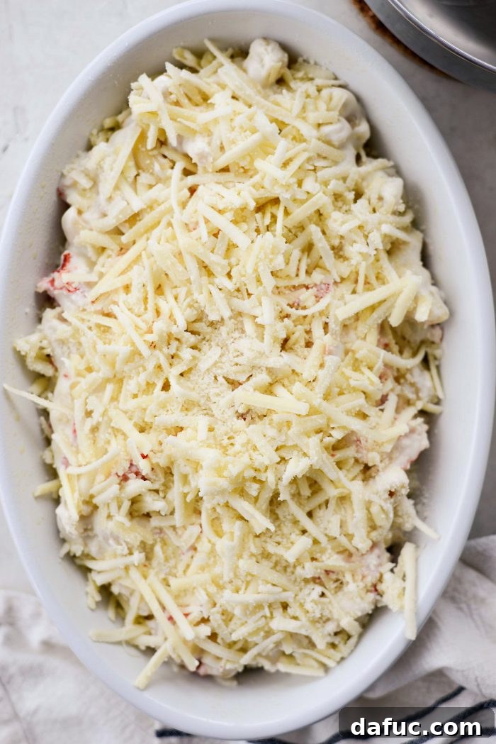 Opulent Lobster Mac and Cheese 19 First layer of Lobster Mac and Cheese mixture in a baking dish, topped with grated cheese.