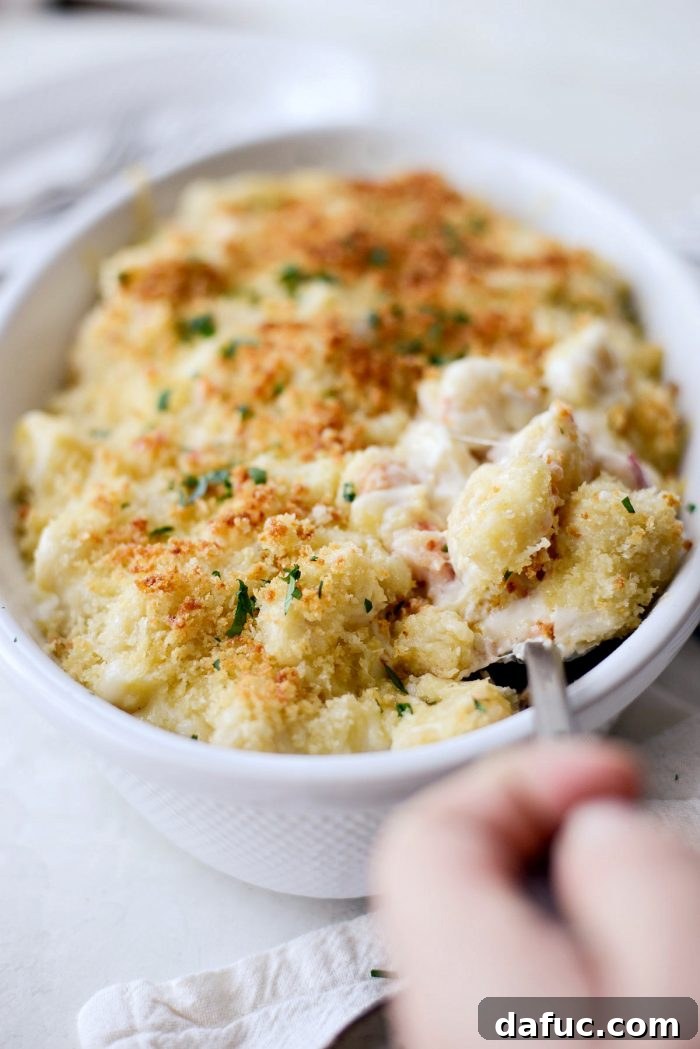 Opulent Lobster Mac and Cheese 23 Freshly baked Lobster Mac and Cheese with a golden-brown, crispy panko topping, just out of the oven.