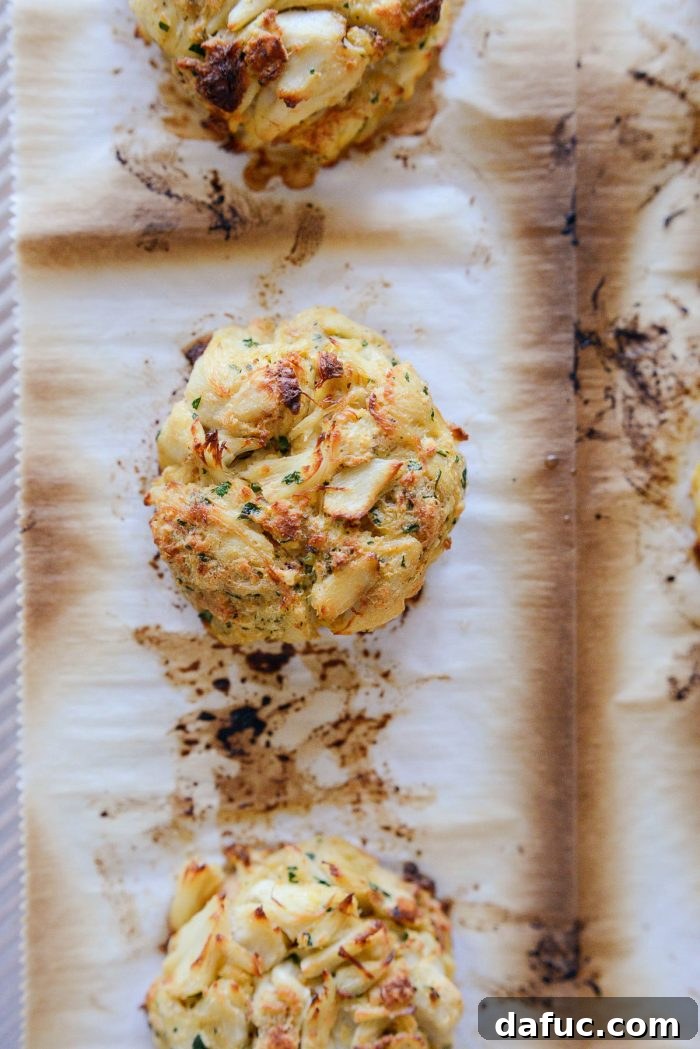 Golden Baked Maryland Crab Delights 15 Crispy baked Maryland crab cakes exiting a hot oven, showing their golden crust.