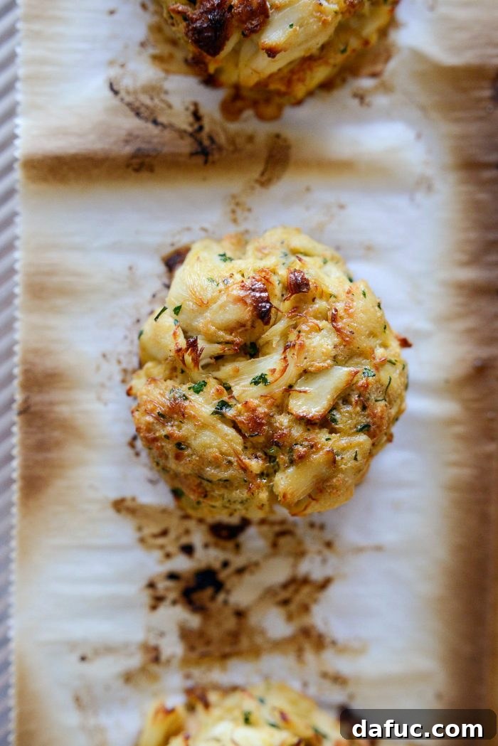 Golden Baked Maryland Crab Delights 16 A close-up of crispy, golden-brown baked Maryland crab cakes, fresh from the oven.