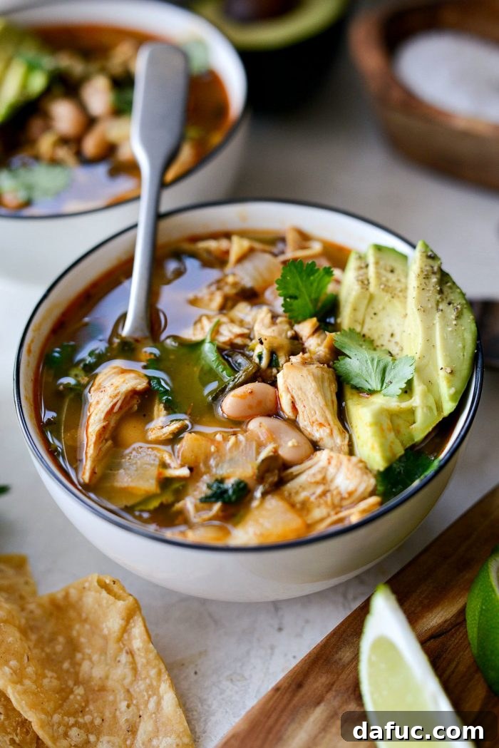 Hearty Poblano Chicken and White Bean Stew 19 Overhead shot of White Bean Chicken Poblano Stew, ready for a cozy meal