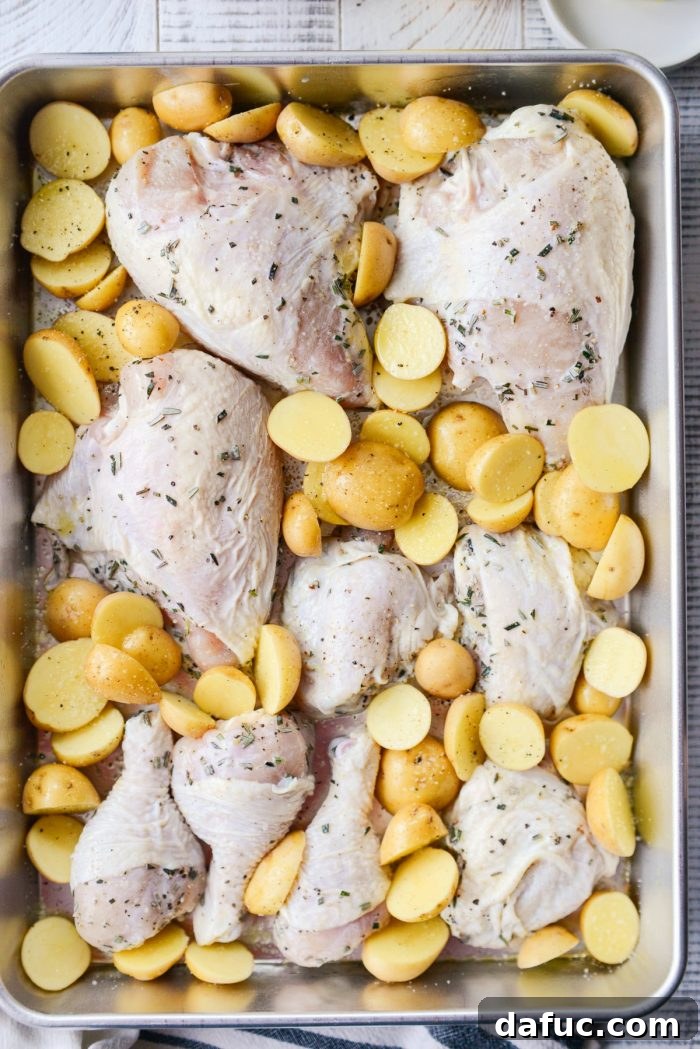 Chicken pieces and halved Yukon Gold potatoes arranged in a roasting pan, seasoned and ready for the oven.