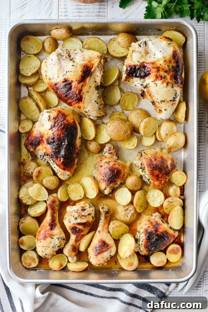Roasted chicken and potatoes browning in the oven.