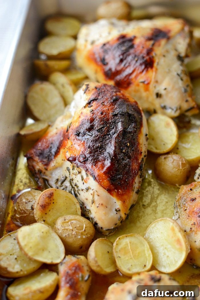 A close-up of the perfectly crispy, golden-brown skin on a roasted chicken thigh.