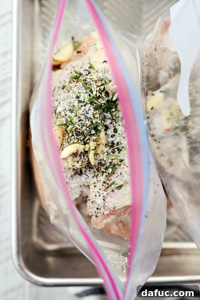 Two gallon-sized resealable bags containing chicken pieces, ready for marinade ingredients.
