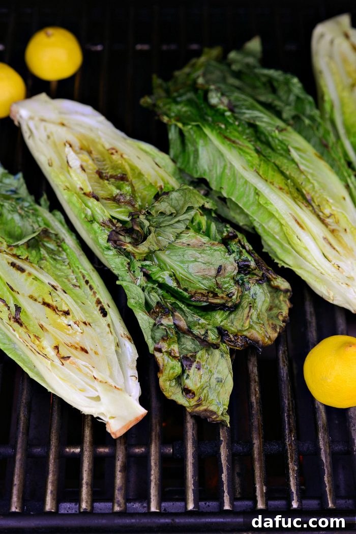 Grilled romaine lettuce halves arranged on a black metal serving tray, ready for toppings