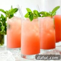 Watermelon Lemonade