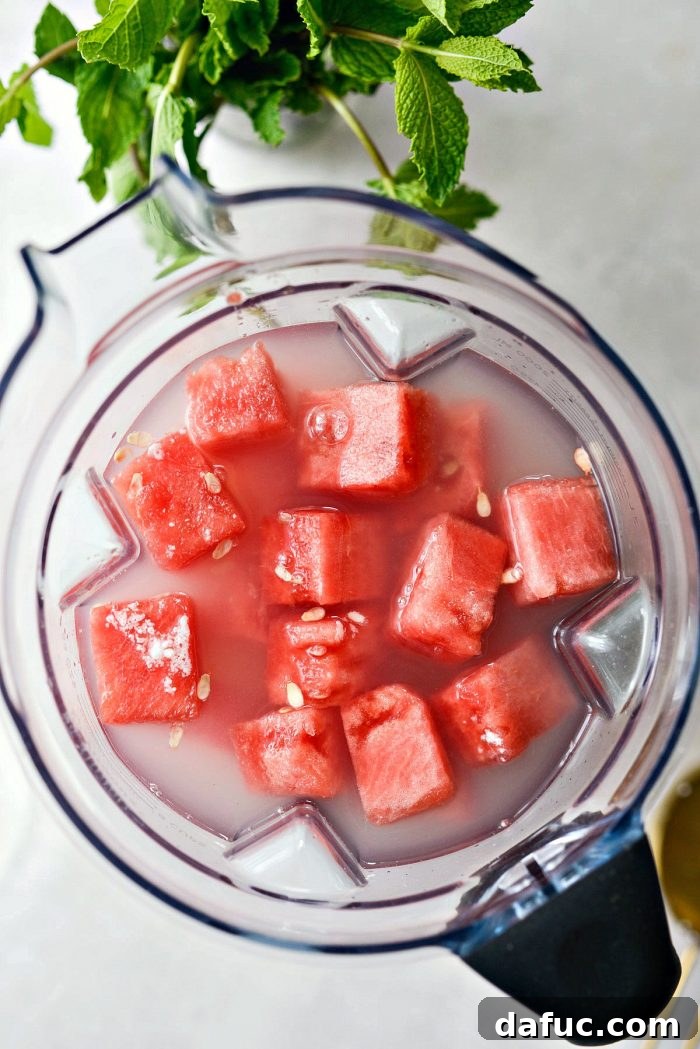 All ingredients – watermelon, lemon juice, powdered sugar, and water – loaded into the blender, ready for blending.