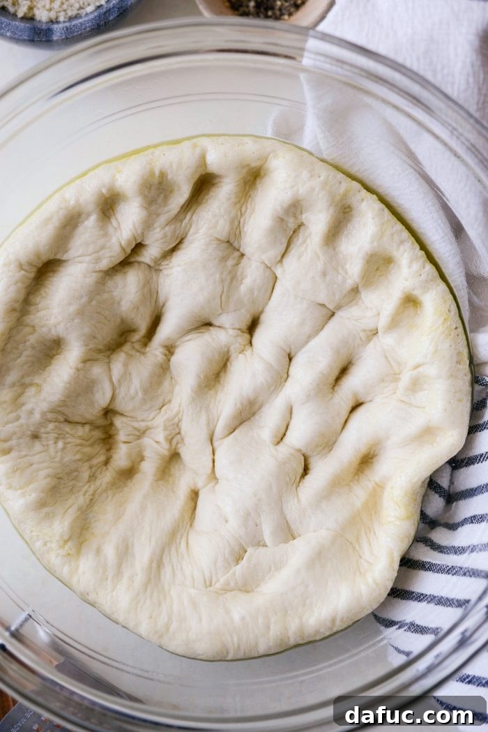Roman Cheese and Pepper Pizza 6 Released air from pizza dough, showing its readiness for shaping