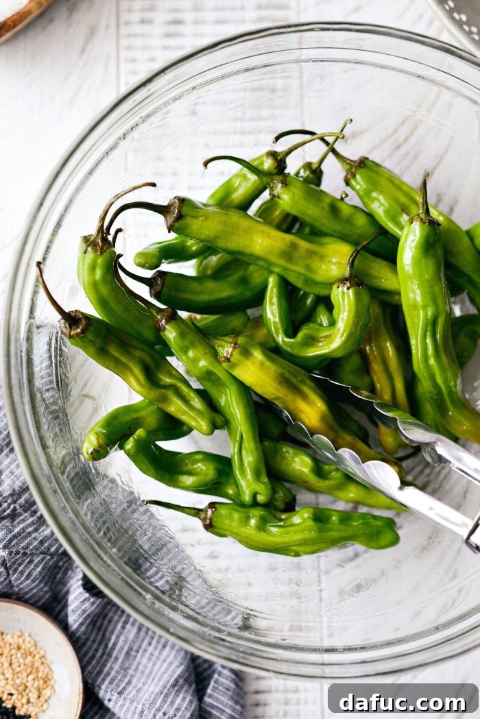 Sesame-Kissed Blistered Shishito Peppers with Zesty Lemon Garlic Aioli 11 Shishito peppers being tossed with tongs in a bowl to ensure even coating with sesame oil